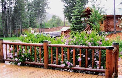 Silverwolf Log Chalets Coram Εξωτερικό φωτογραφία